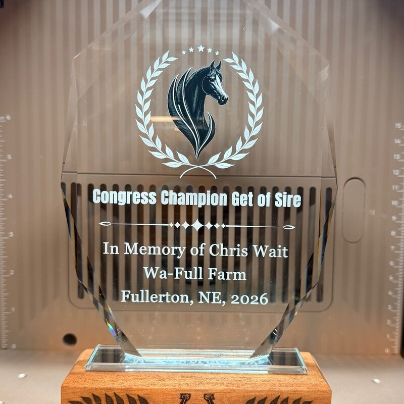 K9 Crystal Trophy with UV Ink Printing